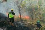 Kebakaran hanguskan dua hektare lahan warga Kabupaten Majene