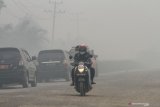 Sekolah di Pekanbaru lumpuh akibat kabut asap