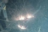 Kebakaran lahan di Majene berhasil dipadamkan