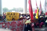 Mahasiswa Kalimantan Barat desak pemerintah naikkan harga kopra