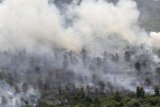 Hujan, titik panas di Sumatera Selatan tetap muncul