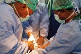 28 dokter masih siaga layani korban demo anarkis di Wamena
