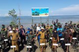 Lantamal VIII Manado dan jajaran tanam 17.000 bibit Mongrove