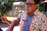 Pengaspalan jalan lingkar di Kepulauan Numfor untuk topang perekonomian warga
