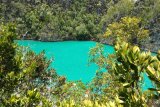 Wisatawan Swiss terjebak di hutan Raja Ampat