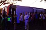 Bus sarat penumpang terguling ke sawah, delapan orang luka-luka