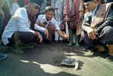 Pemkot Mataram pakai dana kelurahan tata Pantai Loang Baloq