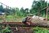 Babinsa Yapsel bantu warga bangun rumah di Kampung Roipi Distrik Angkaisera