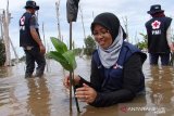Sibat PMI membangun ketangguhan berbasis ekosistem