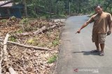 Kabel listrik berseliweran di tanah bahayakan warga desa di Bartim