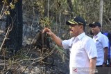 Wakil Bupati Gowa tinjau area terdampak karhutla di Tompobulu