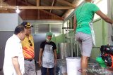 Sangihe baru miliki satu sentra pemurnian minyak kelapa