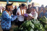 Bupati: Infrastruktur jalan kebutuhan mendesak di Pegunungan Arfak