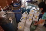 Polres Minahasa sita ribuan botol minuman keras Cap Tikus
