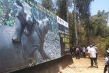 Suaka Rhino Sumatera II habitat bagi badak liar Way Kambas