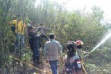 Kebakaran hutan dan lahan di Sukabumi diduga akibat bara puntung rokok