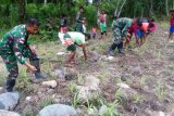 TNI ajak warga perbatasan RI-PNG manfaatkan lahan kosong