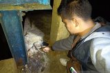 Seharian pergi memancing, Hendrizal ditemukan tewas mengambang di embung