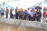 Menteri Kelautan dan Perikanan targetkan produksi udang 5 ton perhektare