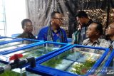 Menteri KKP mengaku sudah tangkap empat kapal di Selat Malaka