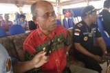 30 tokoh OAP Biak Numfor daftar calon anggota DPRP