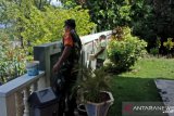 Babinsa bantu warga kepulauan bersihkan lingkungan gereja