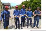 BPBD Lebak minta warga waspadai adanya ular berbisa