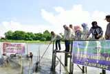 Gubernur komitmen bangkitkan ekonomi Sulsel lewat udang windu
