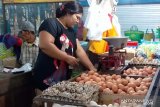 Tingginya harga telur ayam picu inflasi di Jember 0,54 persen