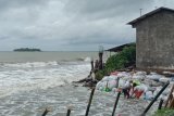 Walhi minta Pemprov Sulsel kaji ulang kebijakan penambangan pasir laut