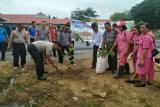 Polres Minsel tanam 500 bibit pohon