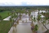 Pemprov Sulsel siap bangun puluhan penangkaran benih