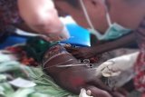 Polsek Atsi tangkap pelaku penganiaya di Kampung Bipim Asmat