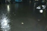 Banjir genangi sejumlah wilayah Poliwali Mandar Sulbar