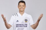 Chicharito resmi gabung LA Galaxy jadi pemain bergaji tertinggi di MLS