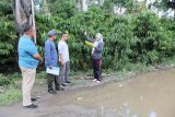 Pemprov Lampung alokasikan Rp4 miliar pembangunan jalan Lampung Barat