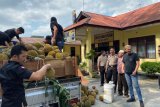 Polisi gagalkan penyelundupan seperempat ton ganja lewat truk pengangkut durian