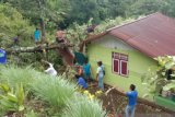 Satu rumah di Kepulauan Sitaro rusak tertimpa pohon