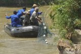 Evakuasi buaya berkalung  ban masih nihil