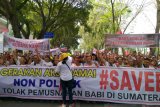 Ribuan orang demo di DPRD, tolak pemusnahan babi