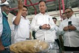 Menperin sebut potensi industri kelautan perlu digenjot