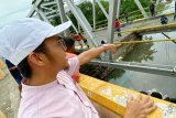 Jembatan trans sulawesi ambruk diduga karena karatan