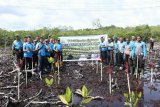 Polresta Jayapura tanam pohon mangrove di Teluk Youtefa