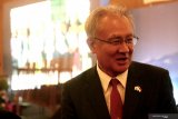 Jepang siap bantu pulangkan WNI di kapal pesiar Diamond Princess