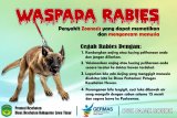 Pemkab Luwu Timur fokus tekan kasus gigitan hewan penular rabies