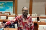 Claus Wamafma ingin majukan masyarakat Papua lewat PT Freeport
