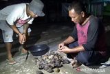 China akan larang dagang dan konsumsi hewan liar mencegah COVID-19
