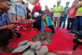 Pembangunan Mall Tatura Palu dimulai