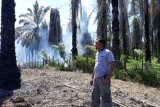 Lima hektare lahan kelapa sawit terbakar di Agam
