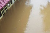 Rumah aktor Roy Marten kembali kebanjiran